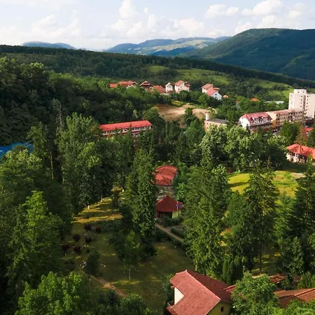 Aida & Tratament Hotel Geoagiu Bai