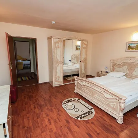 Hotel Aida & Tratament Geoagiu Bai